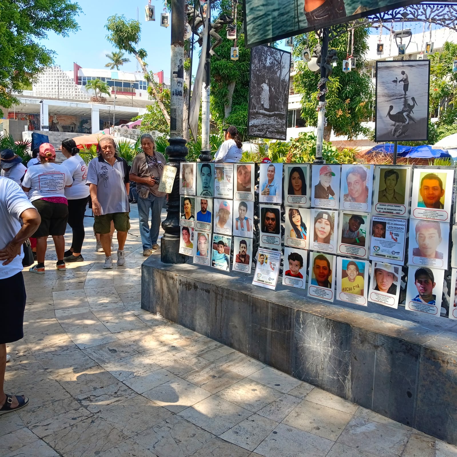 Transeúntes observan la exposición fotográfica de personas desaparecidas que el sábado pusieron integrantes de la Colectiva Memoría Verdad y Justicia en el Zócalo de Acapulco. Foto: Aurora Harrison