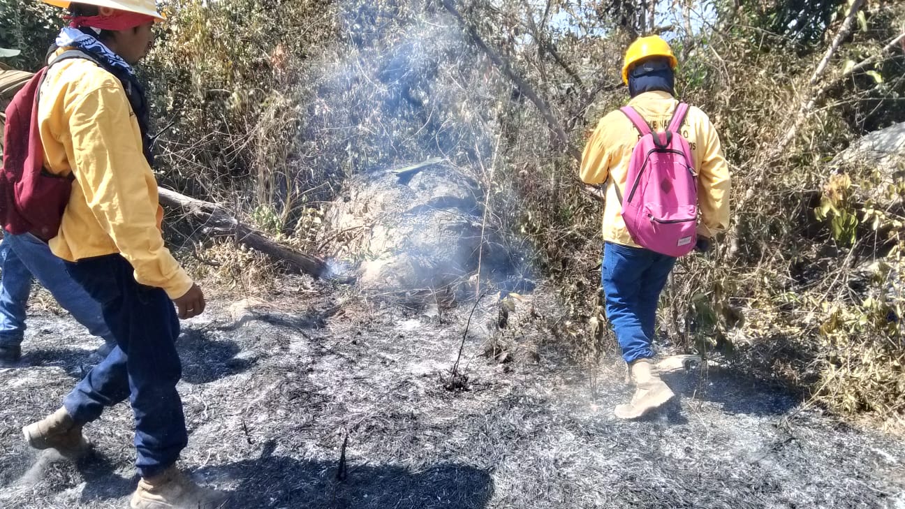 Trabajadores de Conanp durante los trabajos en la zona incendiada en el Parque Nacinal El Veladero. Foto: El Sur